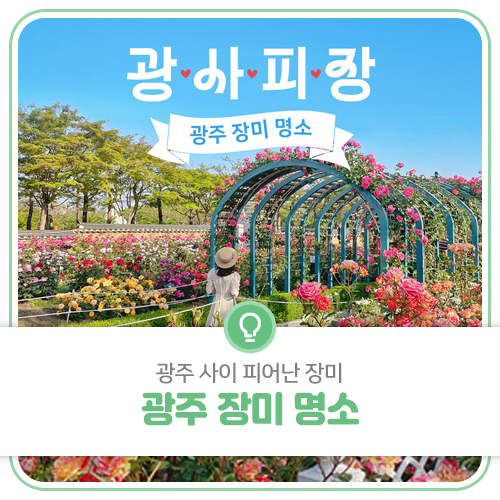 🌹2024 광주 장미 명소🌹