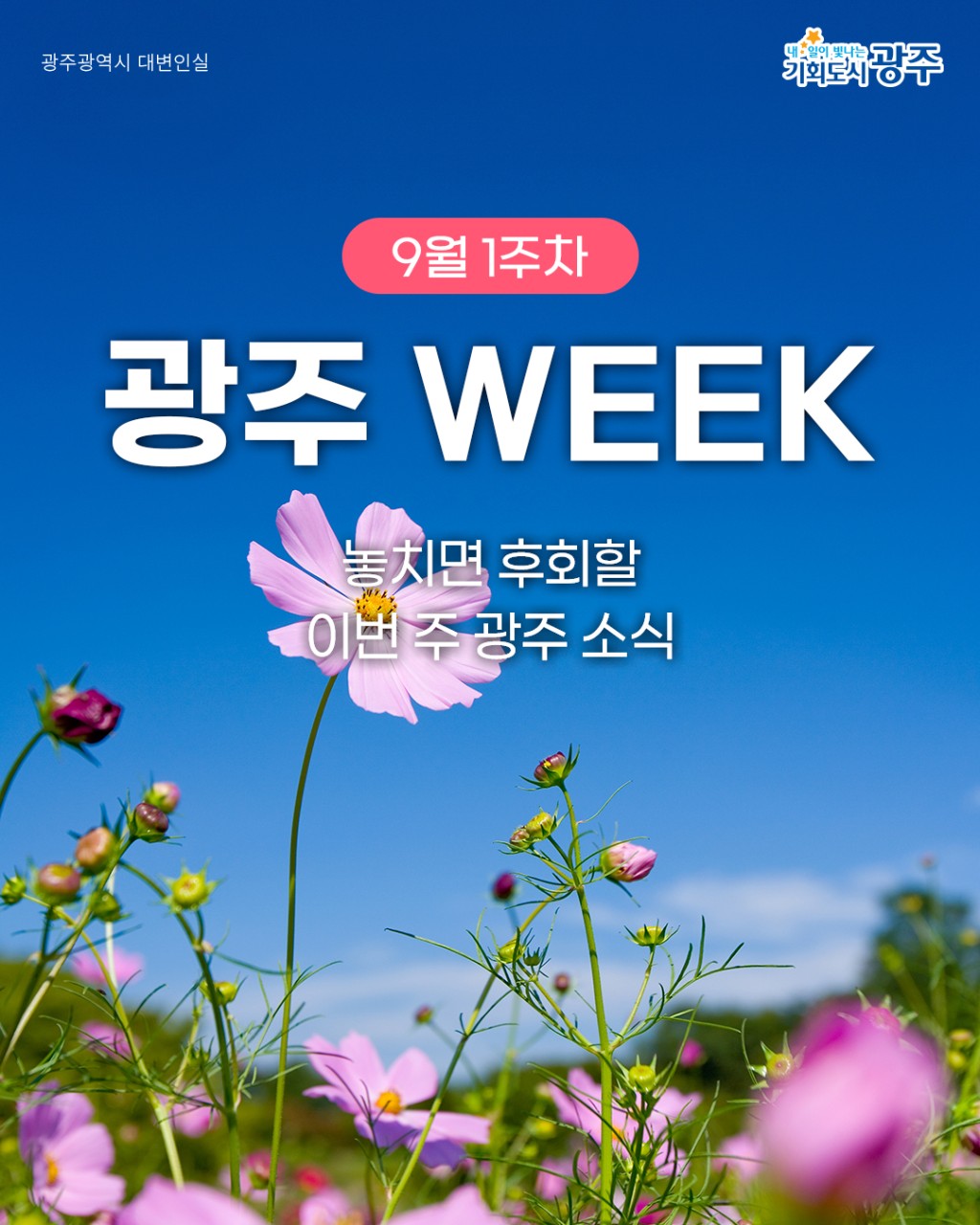 9월 1주차 광주 WEEK! 놓치면 후회할 이번 주 광주 소식