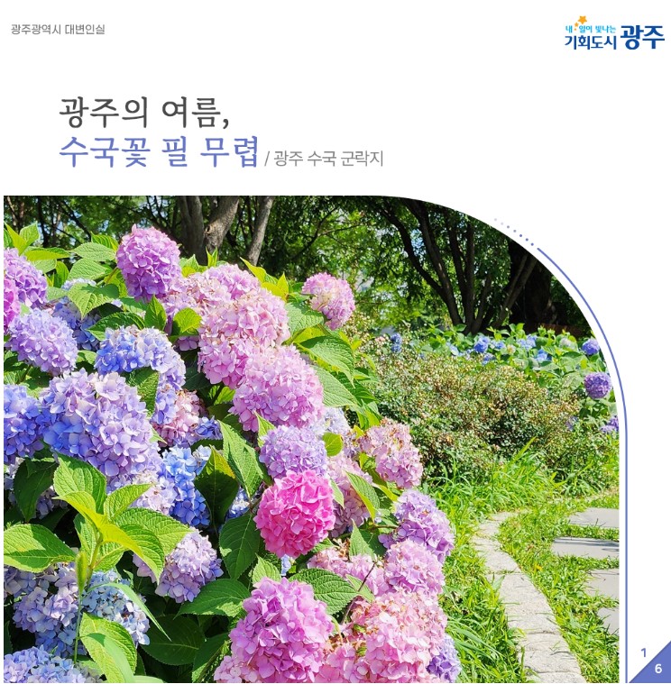 광주의 여름, 수국 나들이