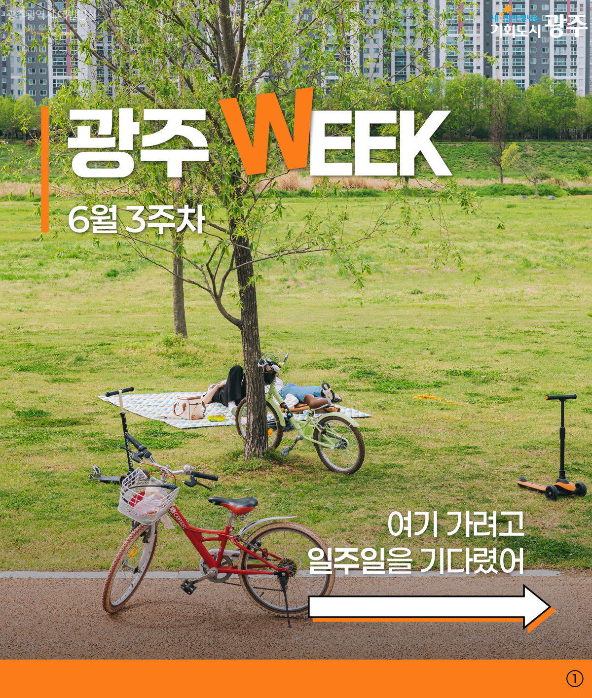 광주 WEEK 6월 3주차