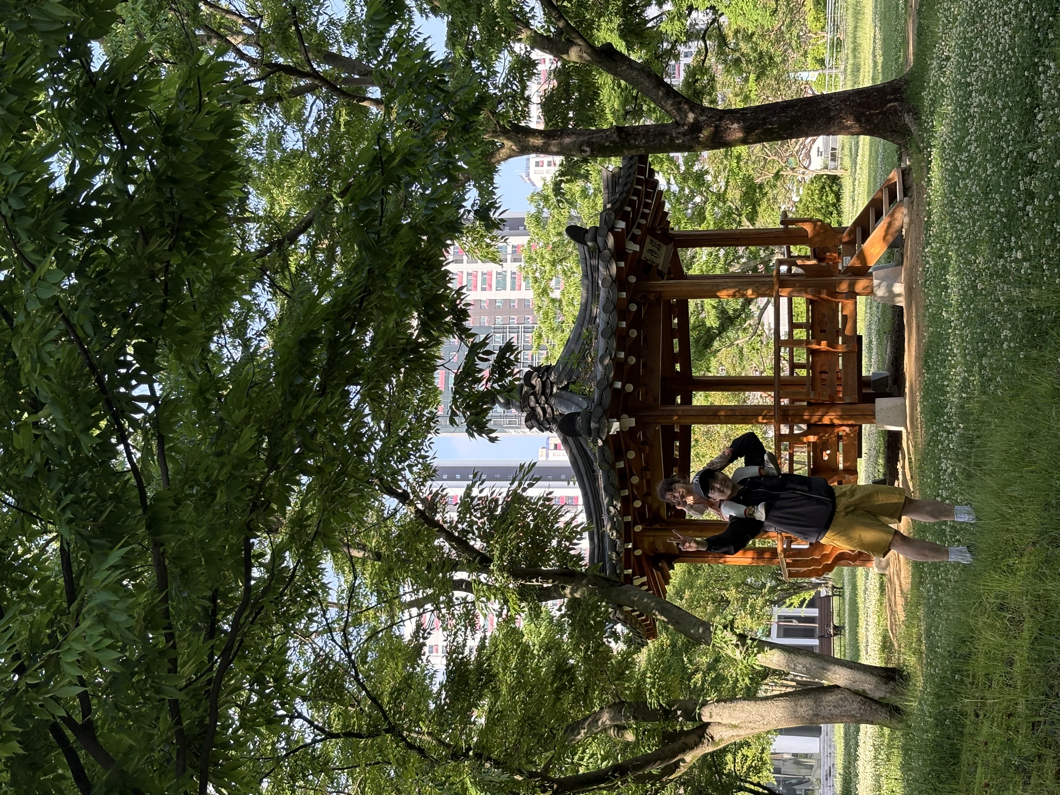 IMG_2439.jpeg