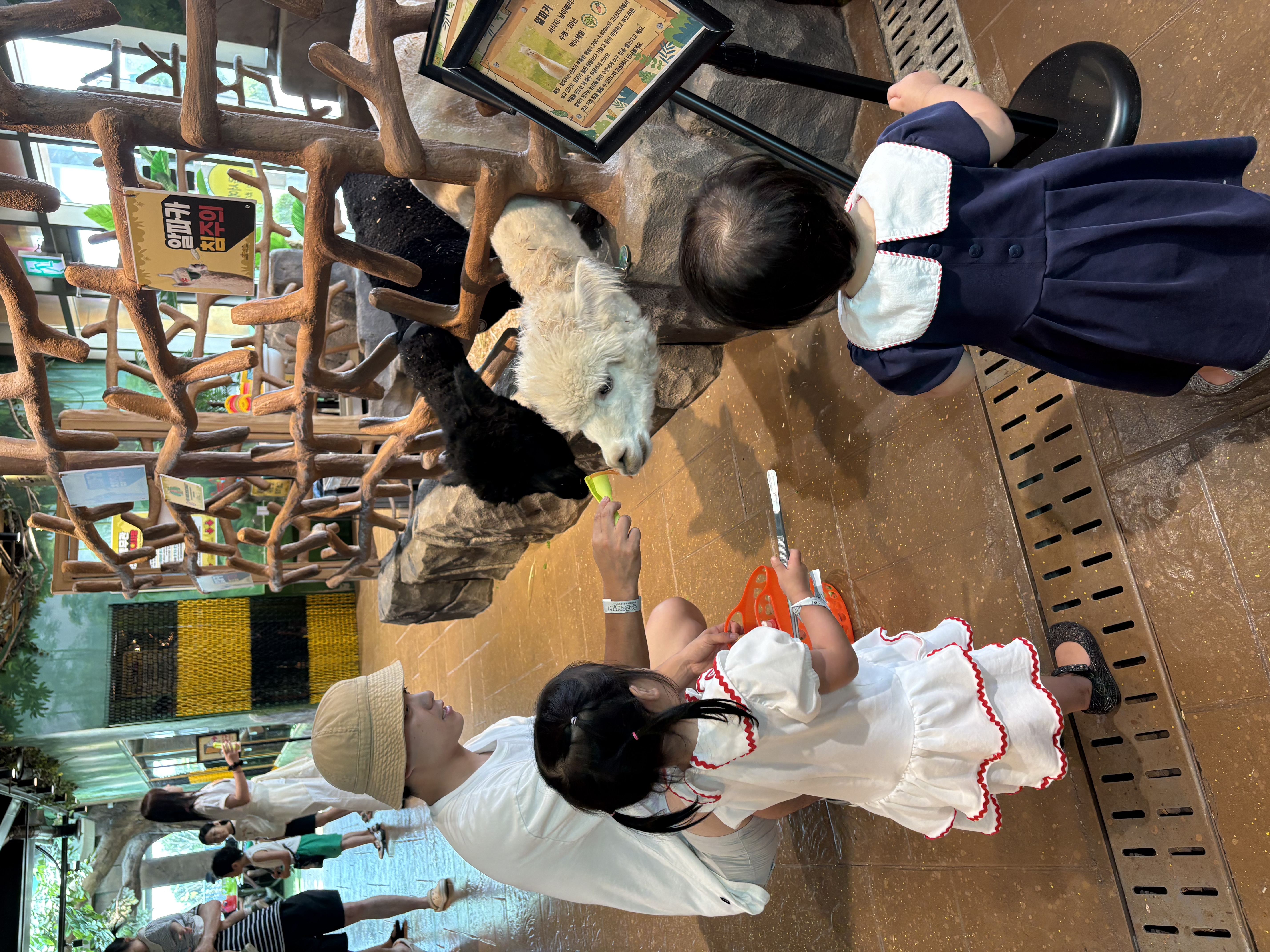 KakaoTalk_20260730_164420361_03.jpg